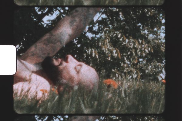 An image of someone laying in grass with an old camera effect over the image so it looks grainy. The person is shirtless holding their right hand up in the air. They have tattoos over their right arm and are bald with a beard, and have light skin. In the background there are some orange flowers around the grass and a tree.