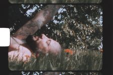 An image of someone laying in grass with an old camera effect over the image so it looks grainy. The person is shirtless holding their right hand up in the air. They have tattoos over their right arm and are bald with a beard, and have light skin. In the background there are some orange flowers around the grass and a tree.